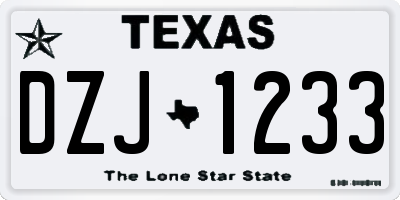 TX license plate DZJ1233