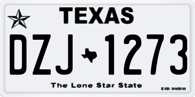 TX license plate DZJ1273