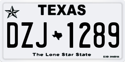 TX license plate DZJ1289