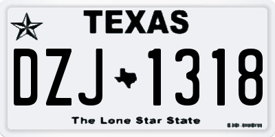 TX license plate DZJ1318