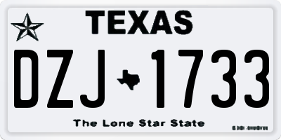 TX license plate DZJ1733