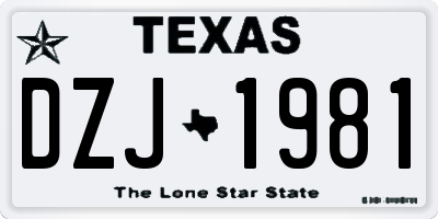 TX license plate DZJ1981