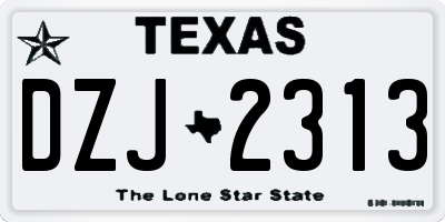 TX license plate DZJ2313