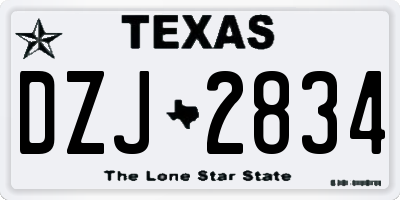 TX license plate DZJ2834
