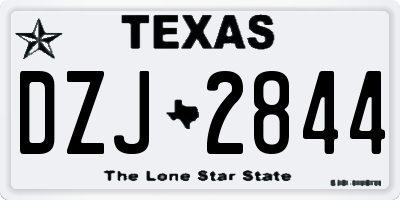 TX license plate DZJ2844