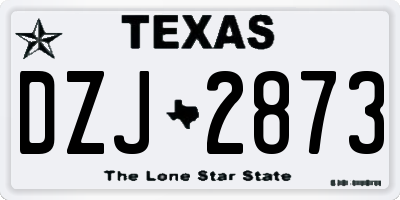 TX license plate DZJ2873