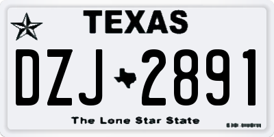 TX license plate DZJ2891