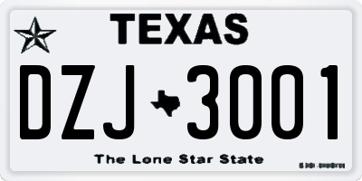 TX license plate DZJ3001