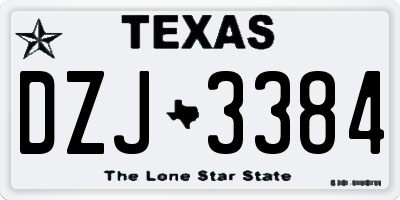 TX license plate DZJ3384