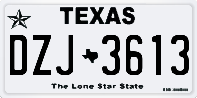 TX license plate DZJ3613