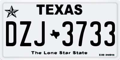 TX license plate DZJ3733