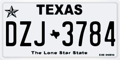 TX license plate DZJ3784
