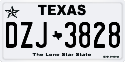 TX license plate DZJ3828