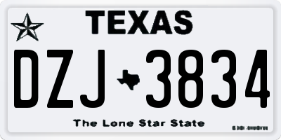 TX license plate DZJ3834