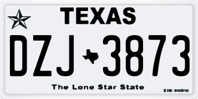 TX license plate DZJ3873