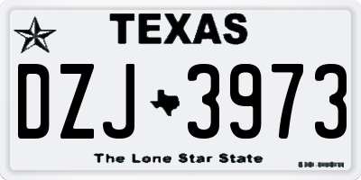 TX license plate DZJ3973