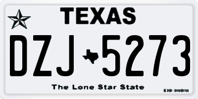 TX license plate DZJ5273