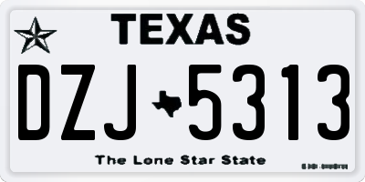 TX license plate DZJ5313