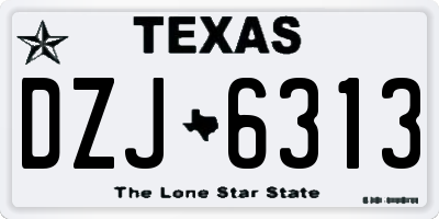 TX license plate DZJ6313