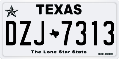 TX license plate DZJ7313