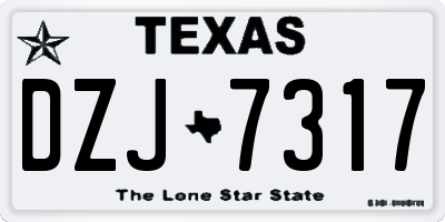 TX license plate DZJ7317