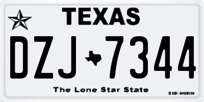 TX license plate DZJ7344