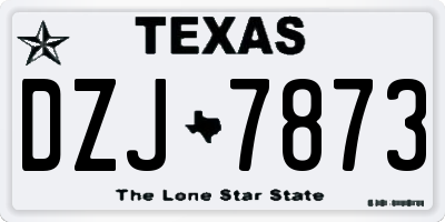 TX license plate DZJ7873