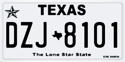 TX license plate DZJ8101