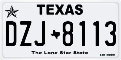 TX license plate DZJ8113