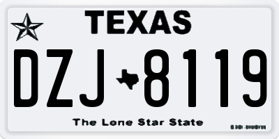 TX license plate DZJ8119