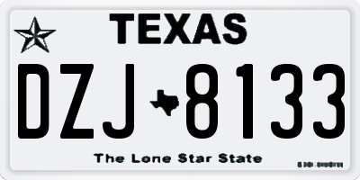 TX license plate DZJ8133
