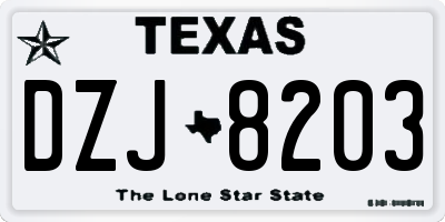 TX license plate DZJ8203