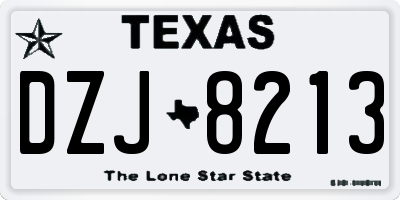 TX license plate DZJ8213