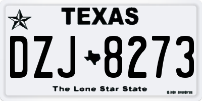 TX license plate DZJ8273
