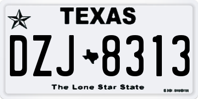 TX license plate DZJ8313
