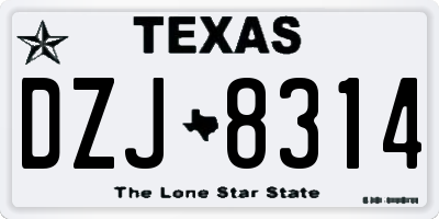 TX license plate DZJ8314