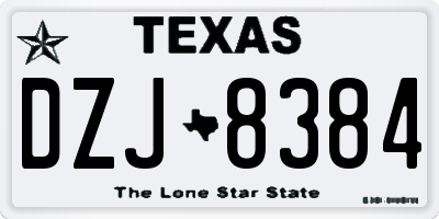 TX license plate DZJ8384
