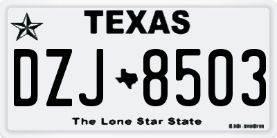 TX license plate DZJ8503