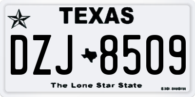 TX license plate DZJ8509
