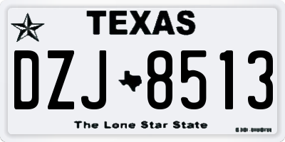 TX license plate DZJ8513