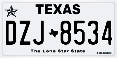 TX license plate DZJ8534