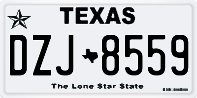 TX license plate DZJ8559