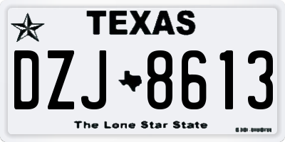 TX license plate DZJ8613