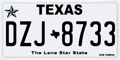 TX license plate DZJ8733