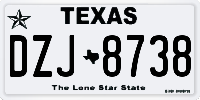 TX license plate DZJ8738