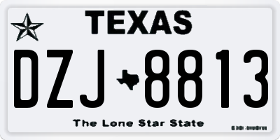 TX license plate DZJ8813