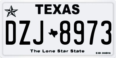 TX license plate DZJ8973