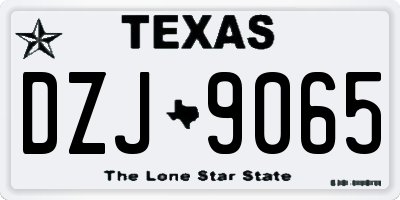TX license plate DZJ9065