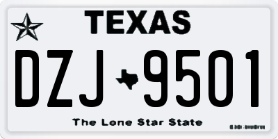 TX license plate DZJ9501