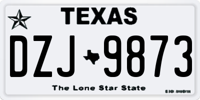 TX license plate DZJ9873